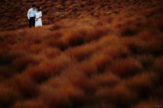 ひたち海浜公園
