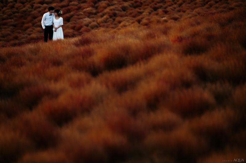ひたち海浜公園