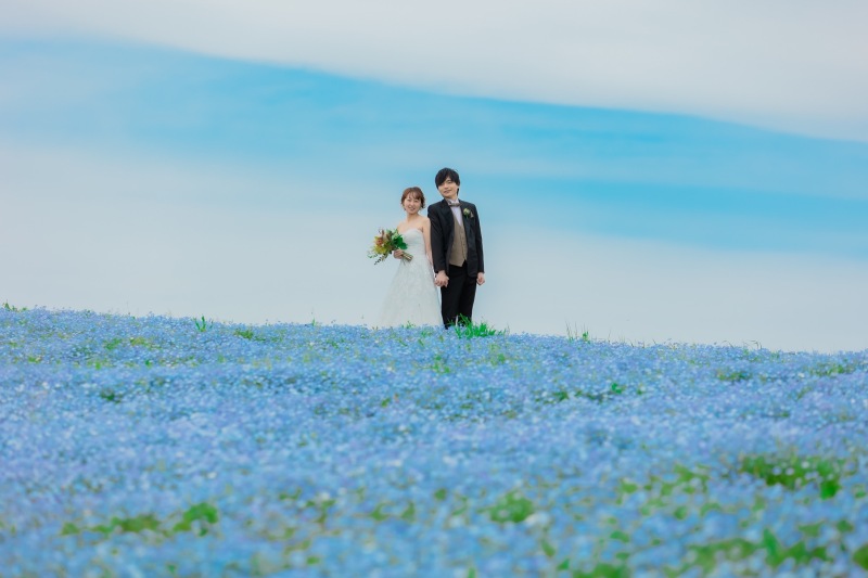 ひたち海浜公園