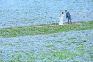 思い出の場所でウェディングフォト