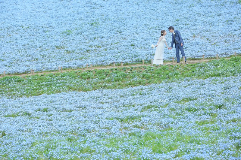 思い出の場所でウェディングフォト