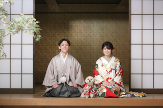 屋内庭園スタジオで愛犬ちゃんと撮影！