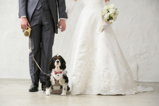 洋装ハウススタジオ