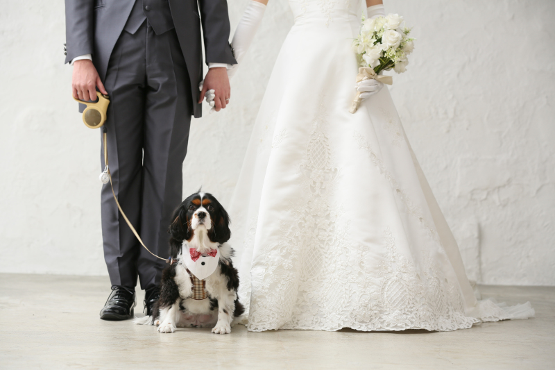 洋装ハウススタジオ