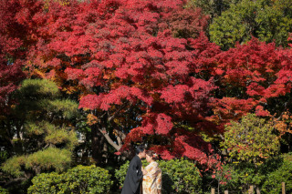 紅葉ロケーション / 花畑記念庭園