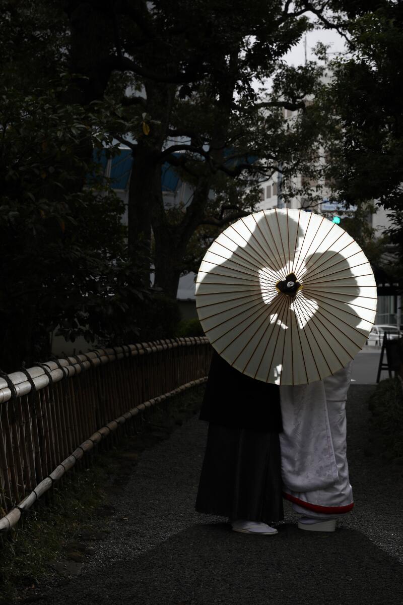 シルエットの撮影