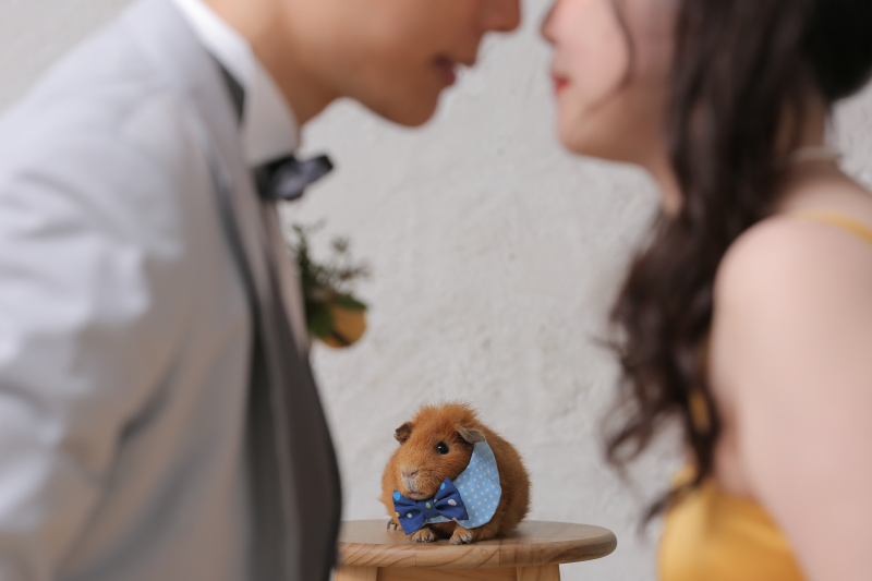 盛りだくさん！指名和洋スタジオ撮影！