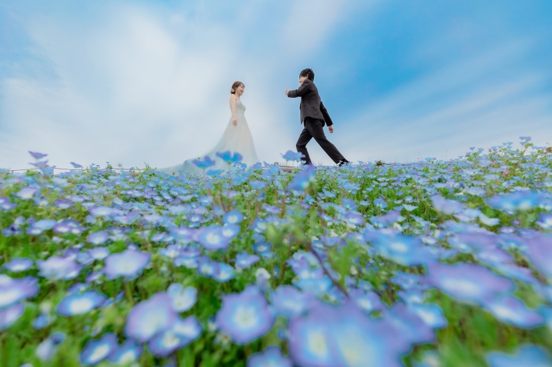 ひたち海浜公園