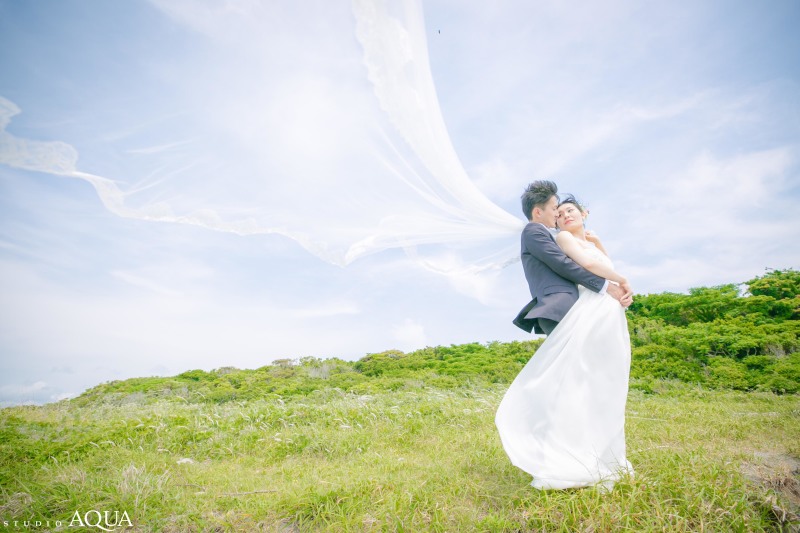 風に舞うベール