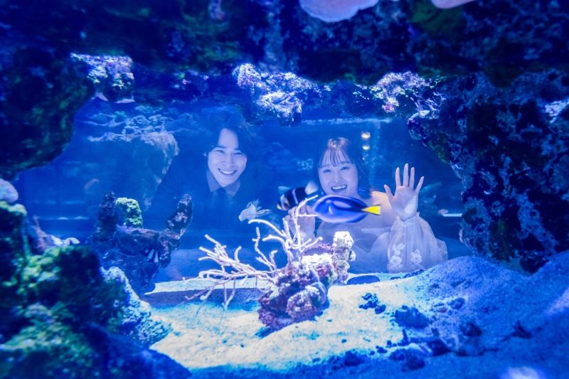 海の生き物との撮影