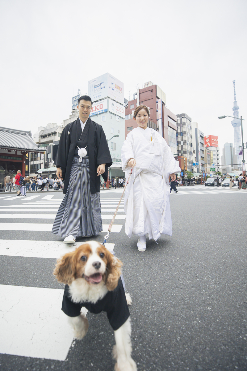 浅草の街をお散歩