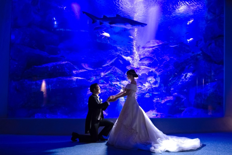 すみだ水族館