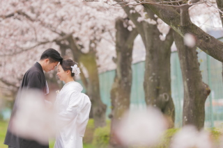 桜ロケーション