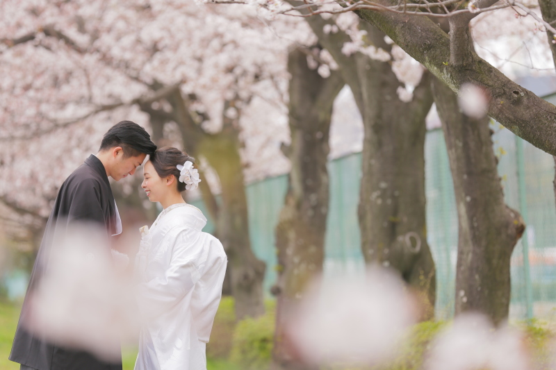 桜ロケーション