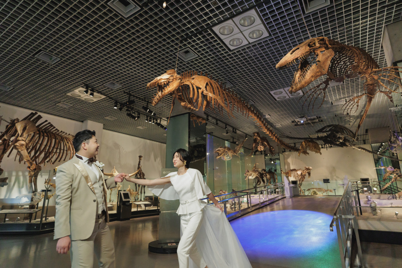 水に戻った四肢動物コーナー