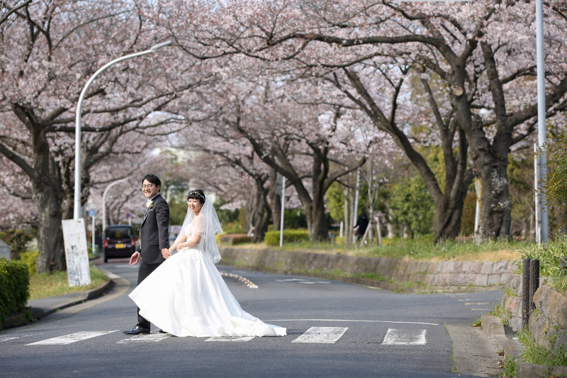 桜並木をバックに