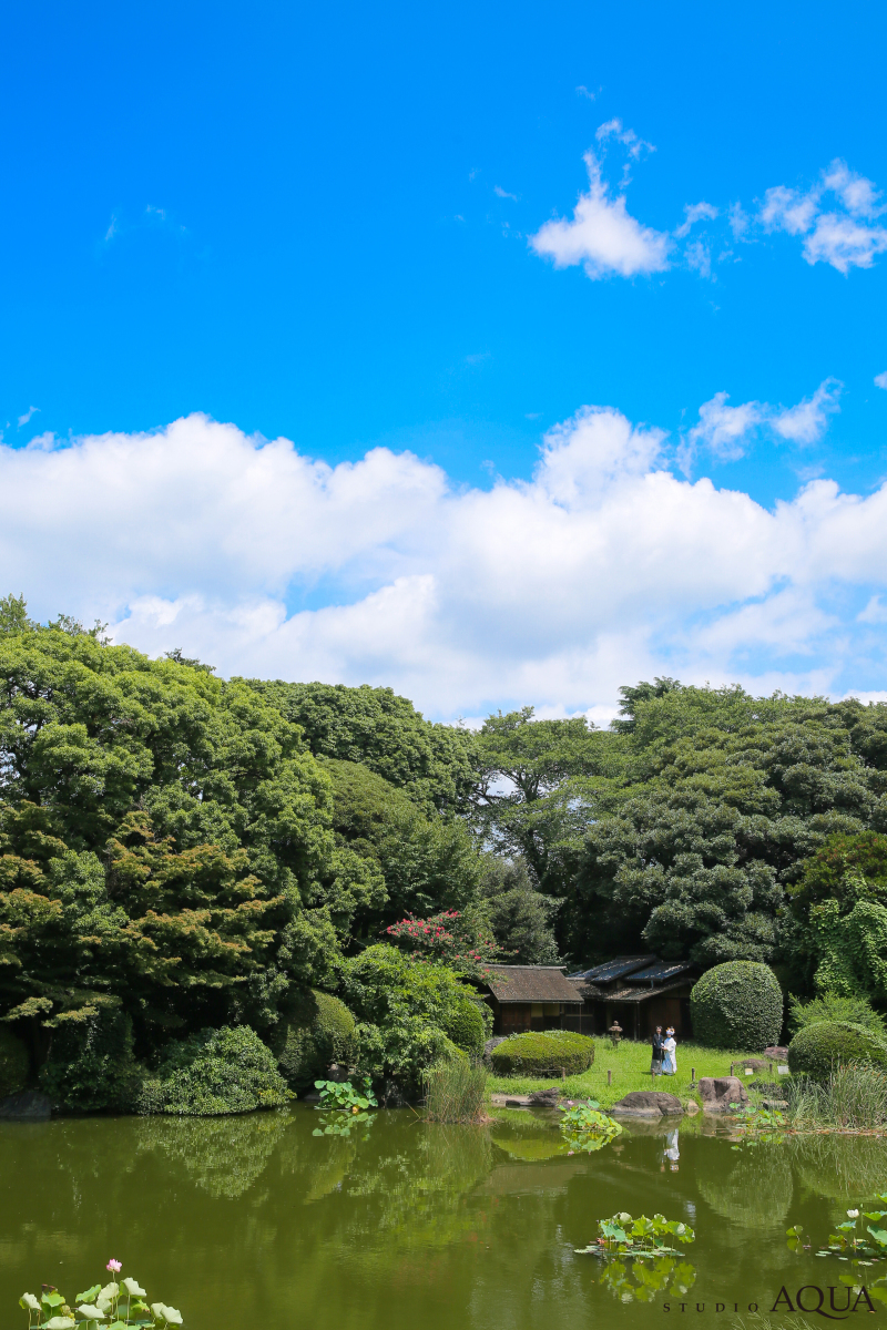 青空と緑のコントラスト