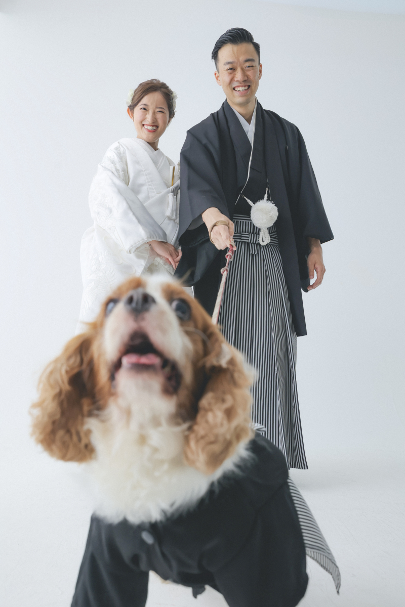 ハウススタジオ