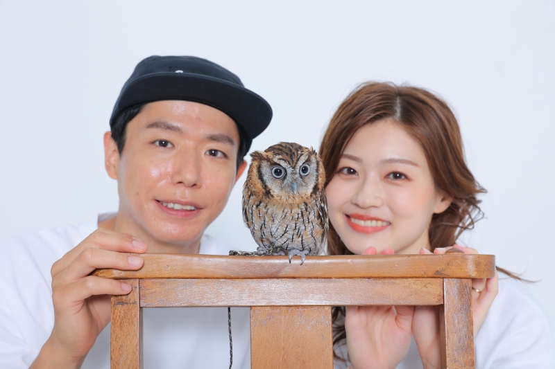 ちょっこんとっ