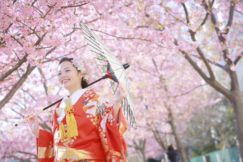 和装ロケ〜河津桜〜2