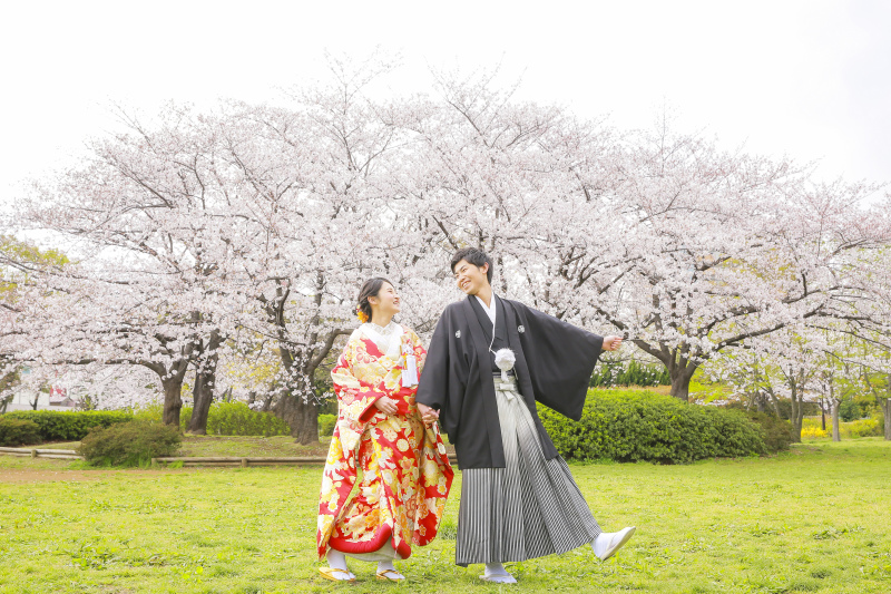 桜ロケーション