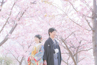 河津桜ロケーション