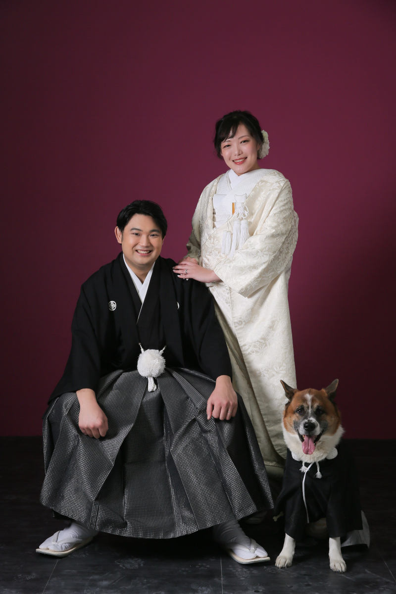 ペットとスタジオ撮影