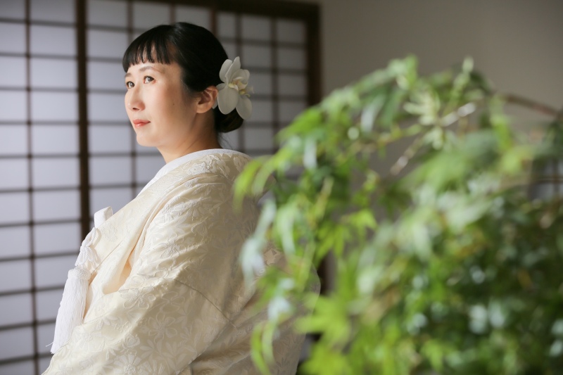 胡蝶蘭