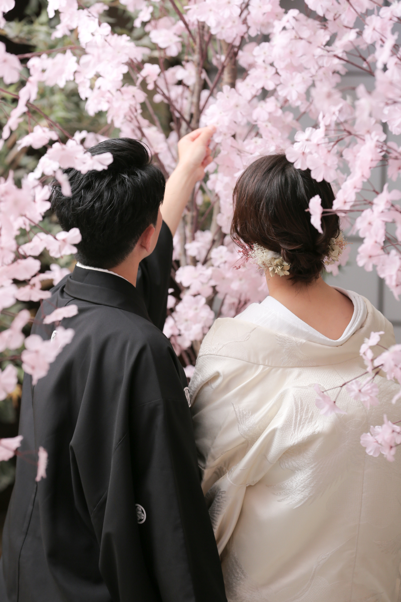 屋内庭園スタジオ