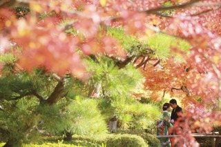 和装ロケーション〜花畑記念庭園〜