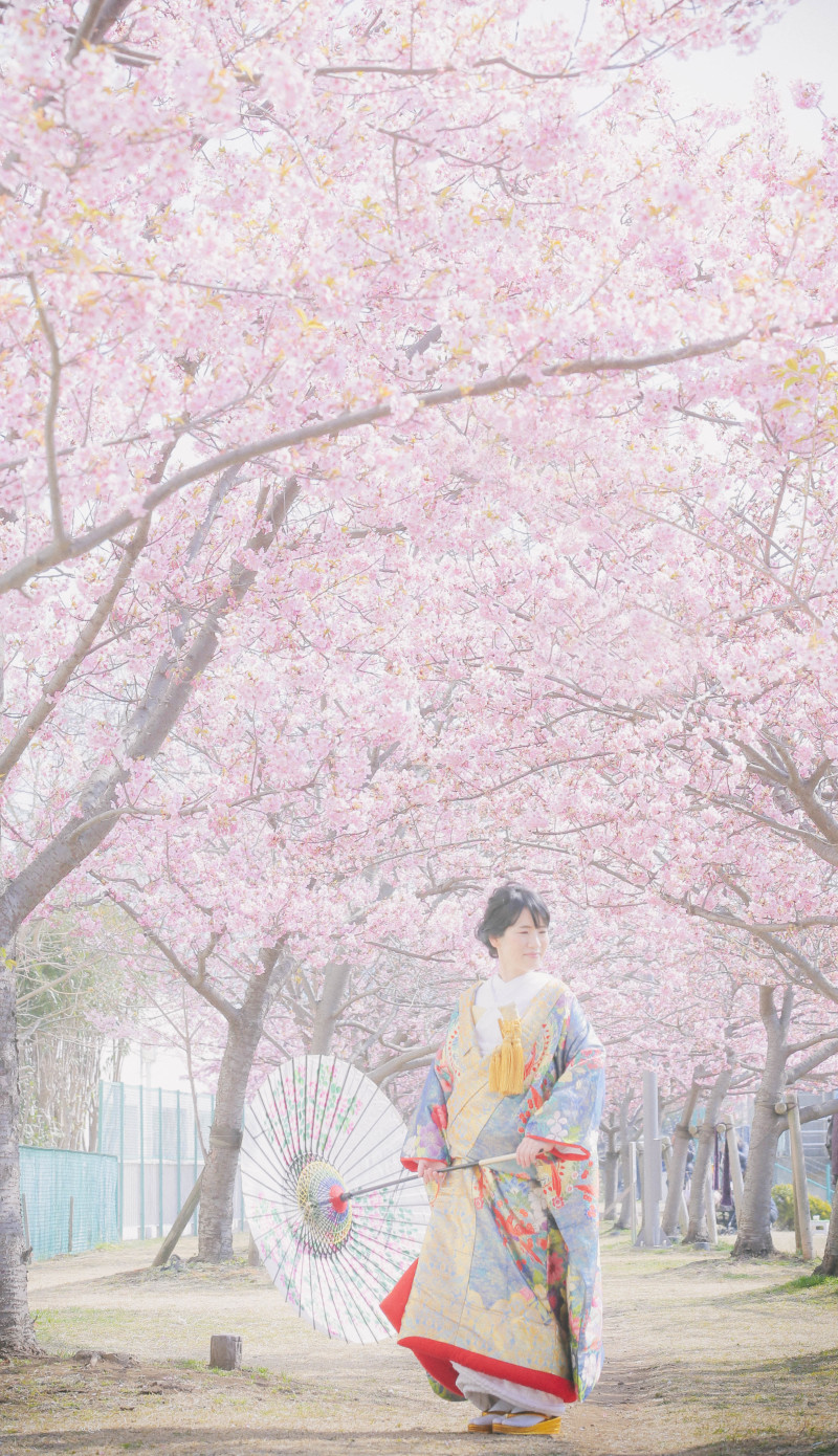 上品な雰囲気を