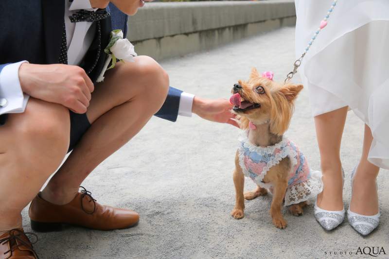 お散歩嬉しいワン!