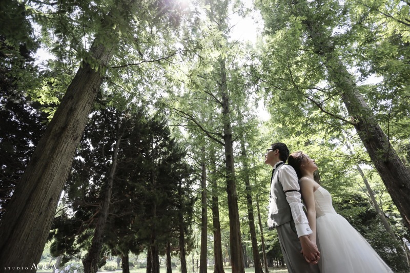 木々に囲まれて