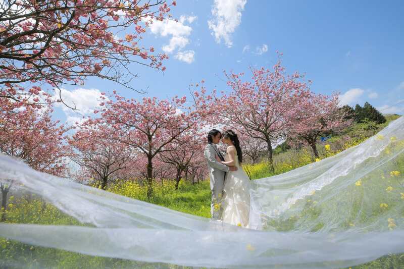 ドレスを靡かせて