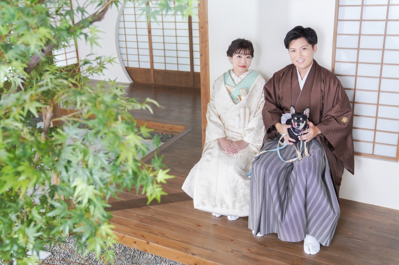 わんちゃん登場！