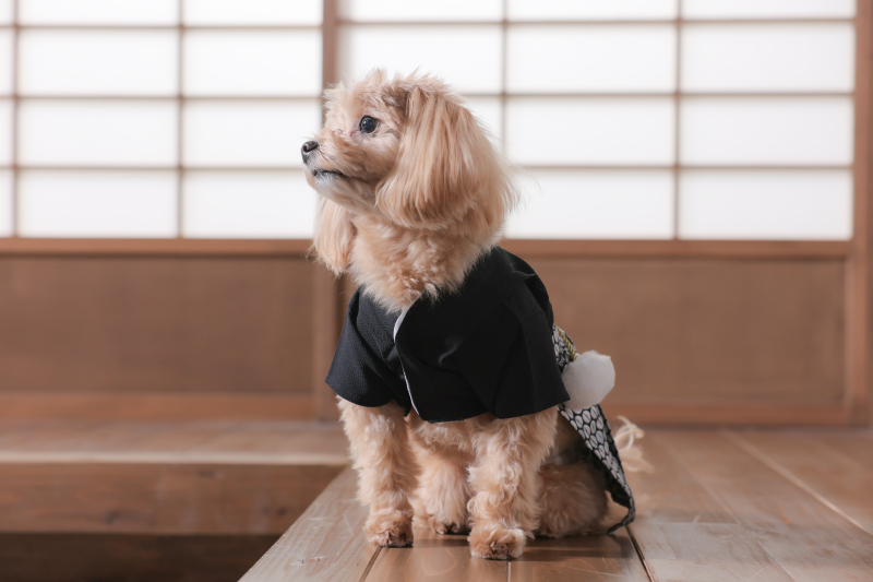 ワンちゃんも新郎様とお揃い♡