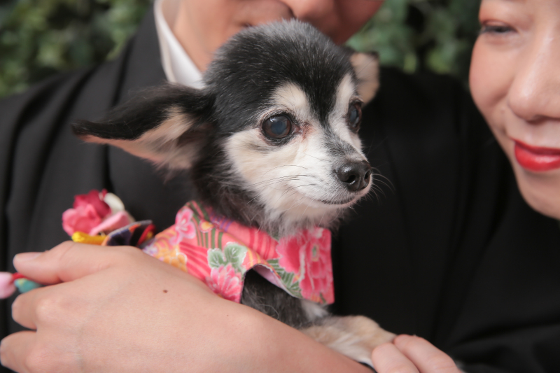 屋内庭園スタジオ２