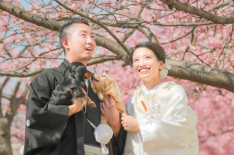 河津桜+屋内庭園プラン