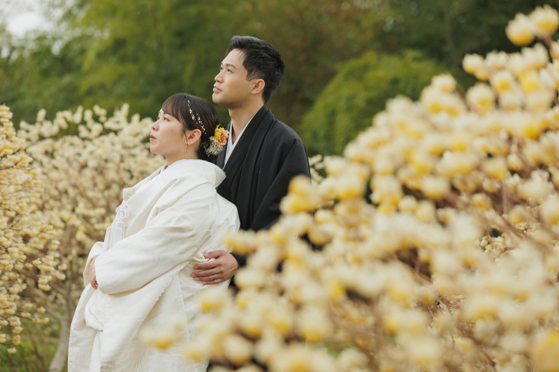 白糸自然公園のミツマタと!