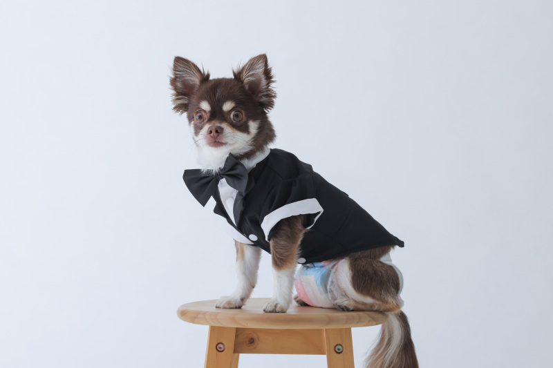 洋装お衣装も！