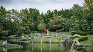 美しい日本庭園での撮影