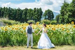 【富士ロケーション】白糸自然公園でひまわりと