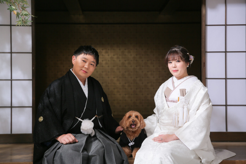 そして愛犬のれっか君！