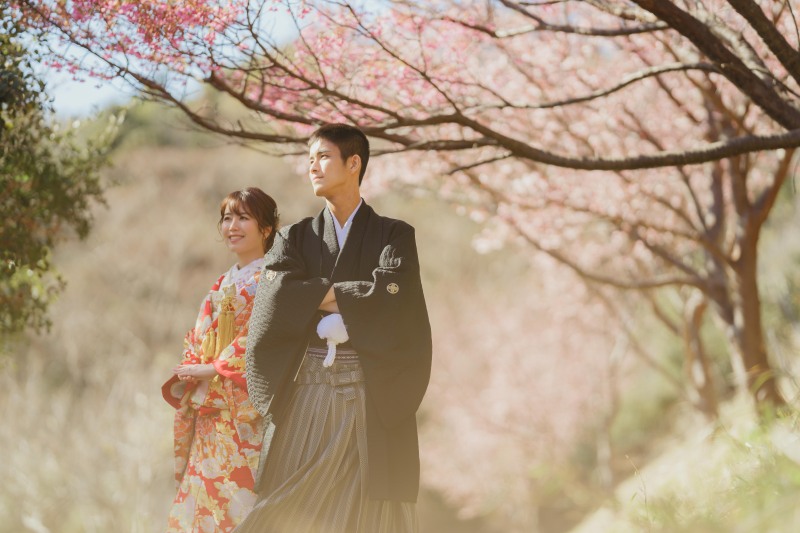 河津桜の特徴について!