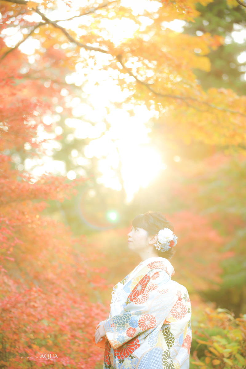 紅葉も見頃を迎え