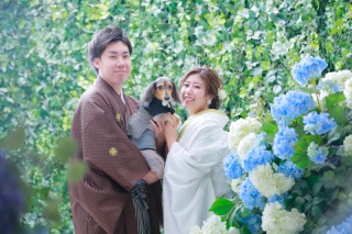 和装屋内庭園とワンちゃん