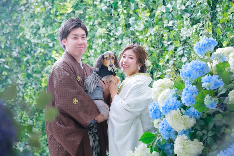 和装屋内庭園とワンちゃん