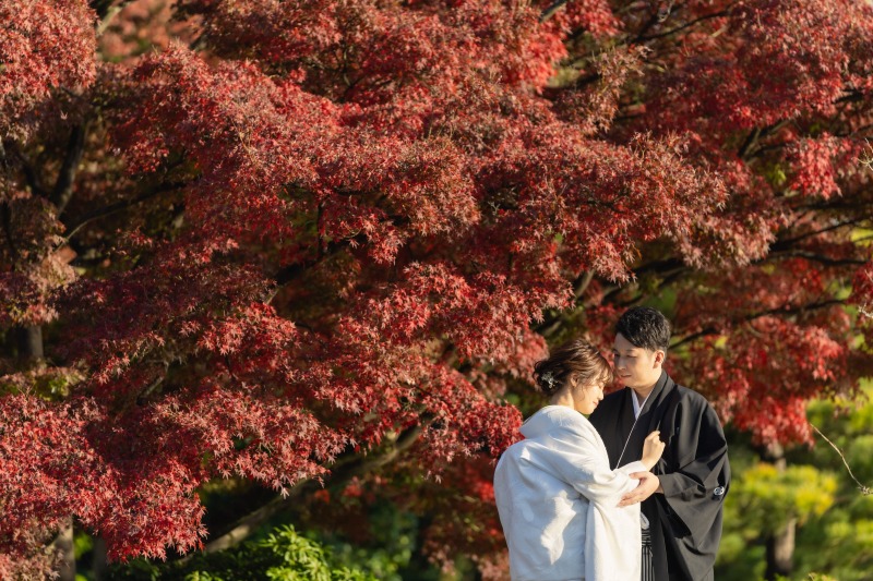 紅葉がピークでした!