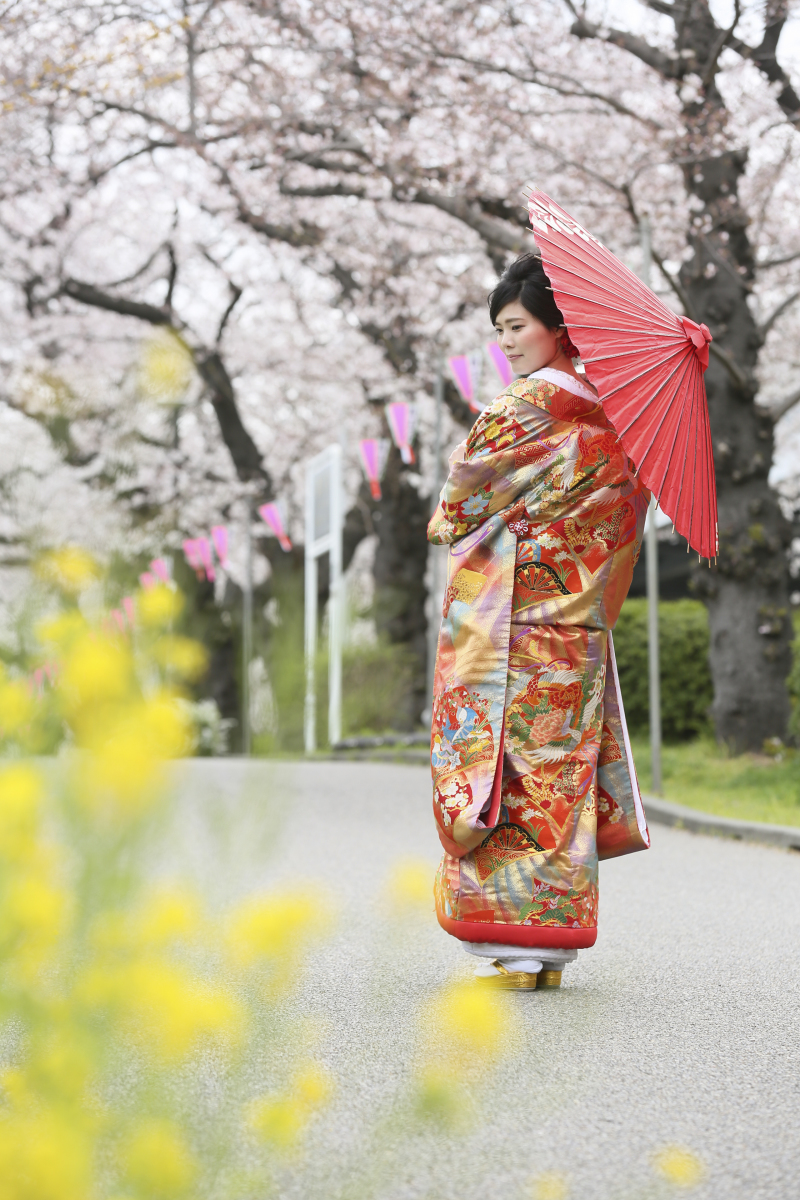 桜のロケーションへ