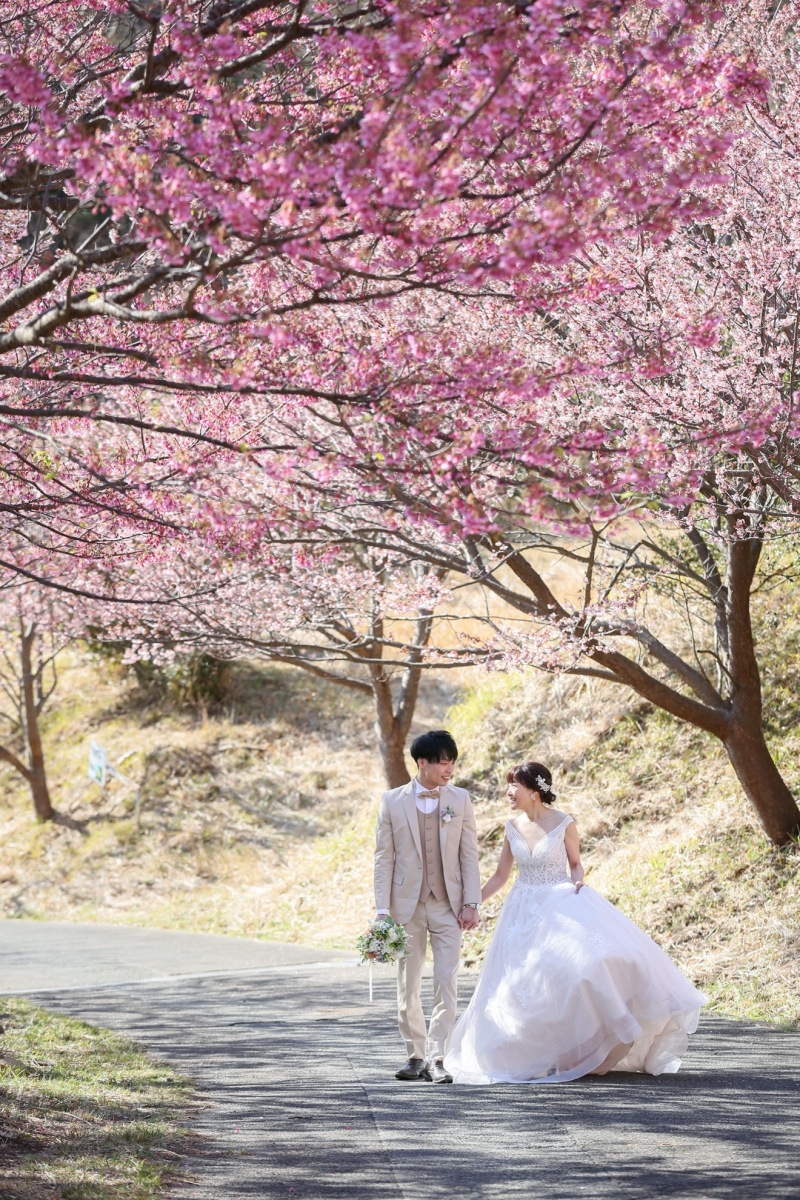 【期間限定】伊豆・河津桜ロケーション